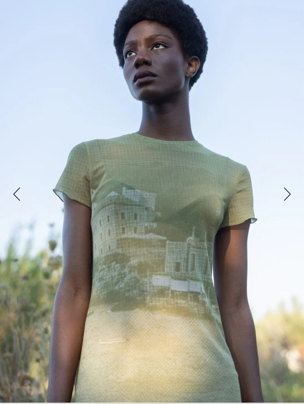 Esthe Sheer Olive Green Graphic Midi Dress - Picture 3 of 7